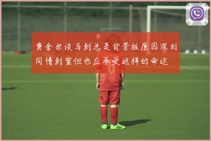 费舍尔谈马刺总是背景板原因深刻同情刺蜜但也应承受这样的命运